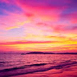 Meet your Posher, Lily